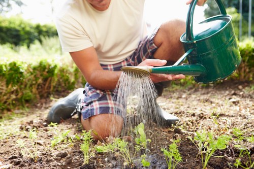 Professional tree lopping service in Kenton